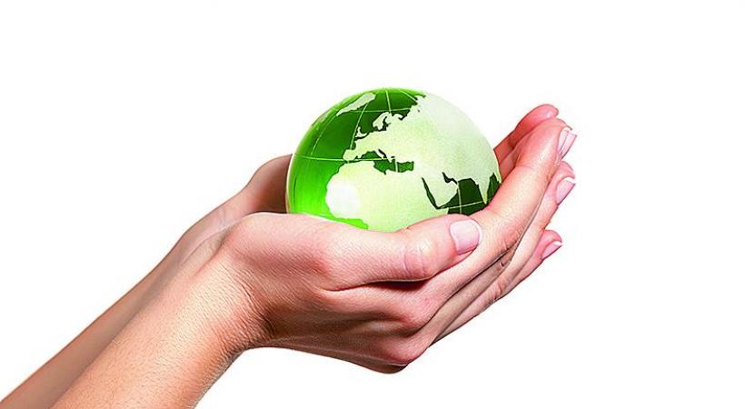 Ecogeste de la semaine: Optimisez l’énergie de votre four