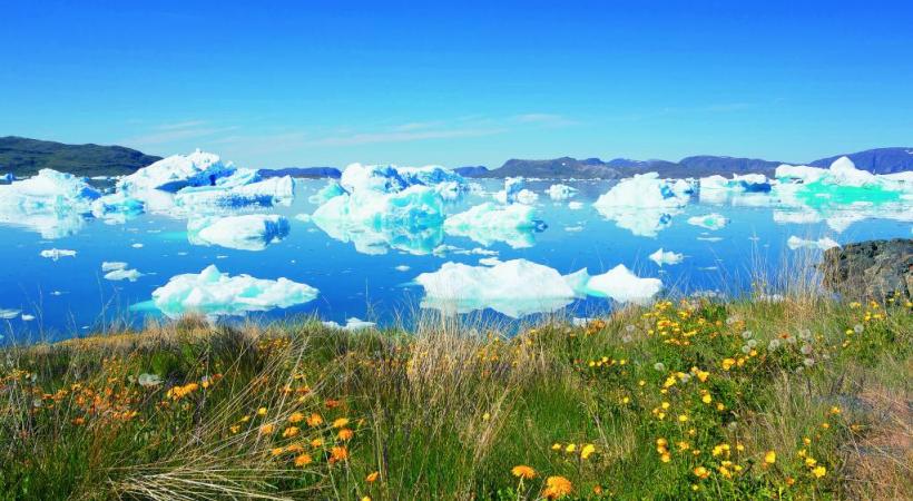 La nature refleurit chaque été. 