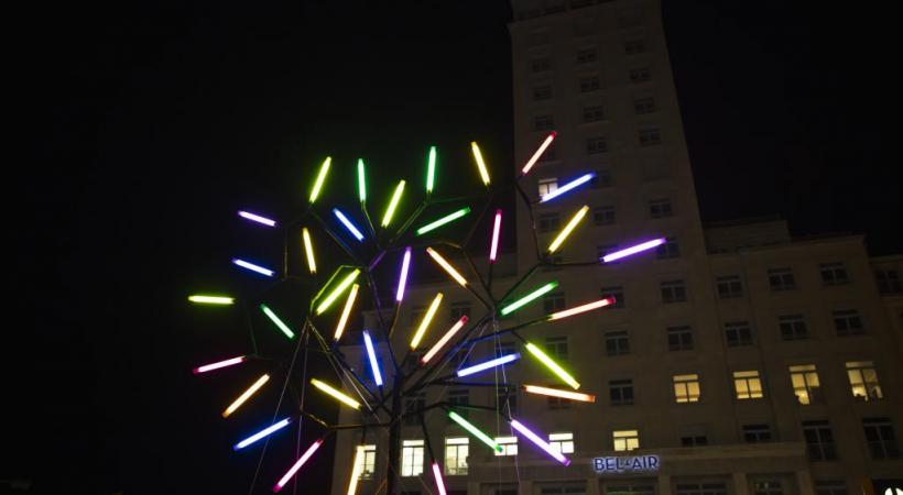  «Big Tree», Jacques Rival, terrasse Jean Monnet. dr