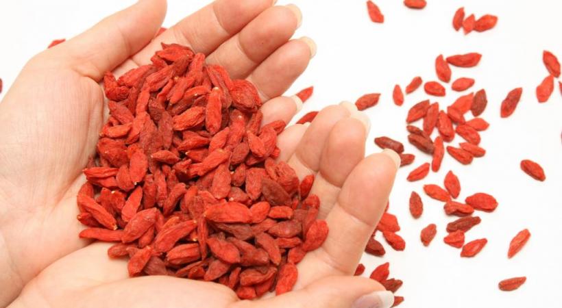Des baies qui contiennent du germanium, un anti-cancéreux puissant. dr