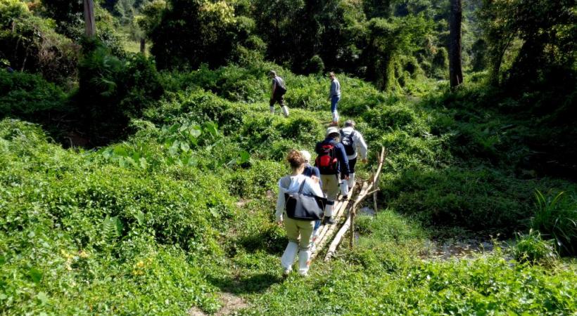 Trekking dans une nature exubérante et préservée. 