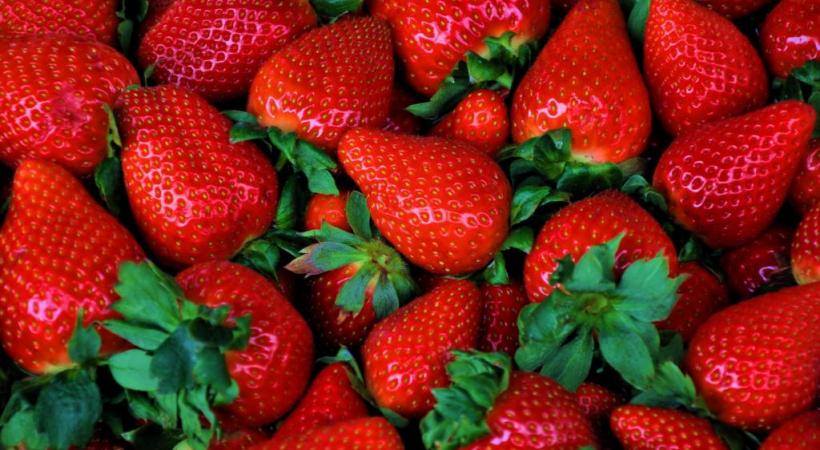  Fraises