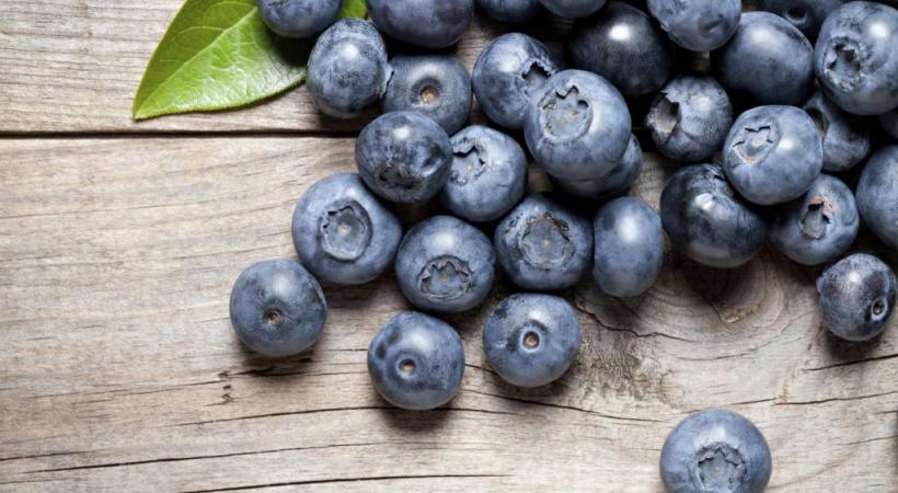 Les baies, aliments de l’été par excellence