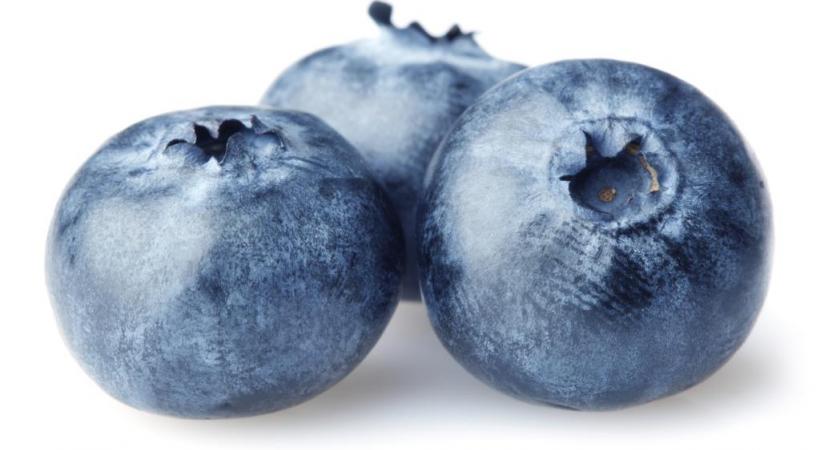 Les baies, aliments de l’été par excellence