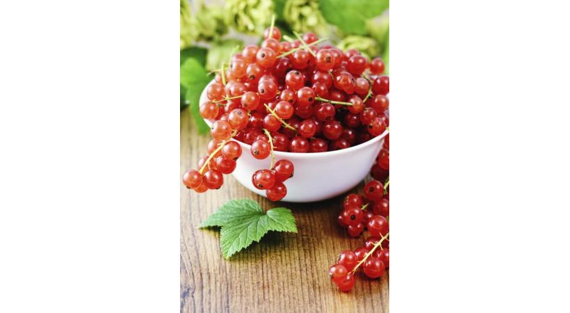 Les baies, aliments de l’été par excellence
