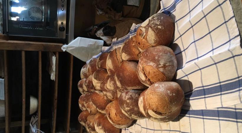  Ce dimanche Echallens fête l’emblème de la future Fête du Blé et du Pain