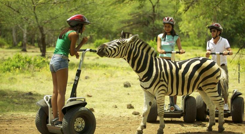 Le parc de Casela, 14 hectares destinés aux loisirs et à la rencontre avec les animaux.  
