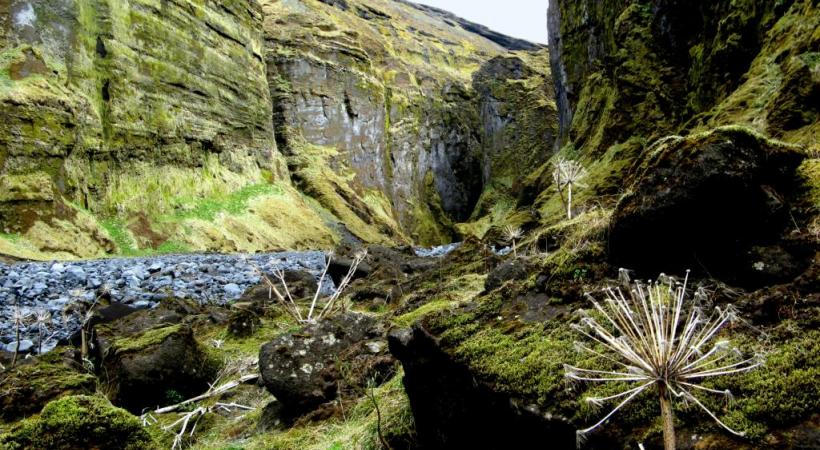  La géologie confère au paysage  ses étonnantes couleurs. 