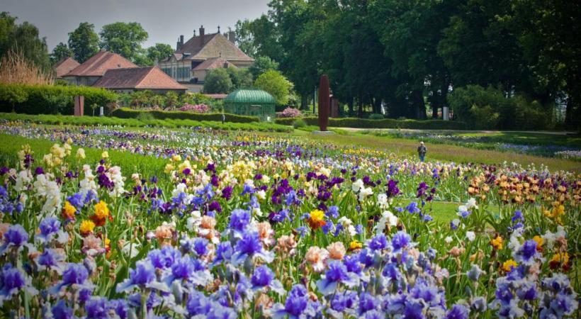  A Vullierens, la magie de l'art et des fleurs 
