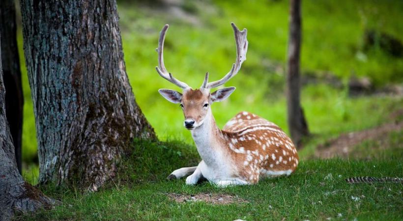  Fêtez la Nature dans toute sa splendeur