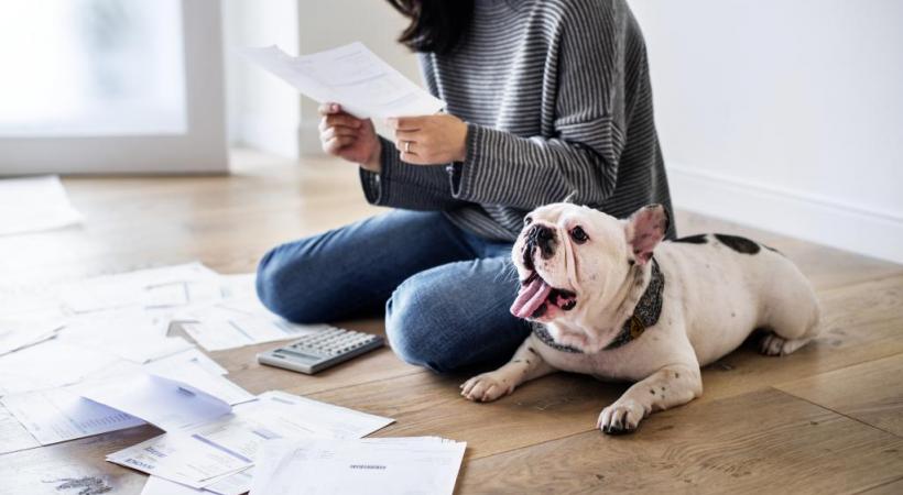 Certaines voix s’élèvent pour abolir une taxe pas si indolore. 123RF