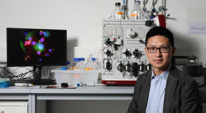 Li Tang, directeur du Laboratoire de biomatériaux pour Immunoengineering (LBI) de l’EPFL et  premier auteur de l’étude. DR Li Tang, directeur du Laboratoire de biomatériaux pour Immunoengineering (LBI) de l’EPFL et  premier auteur de l’étude. DR