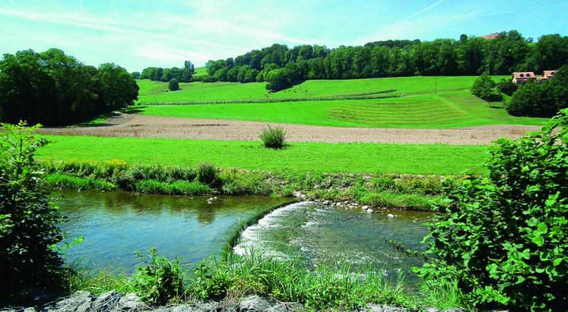 Une balade qui mêle les plaisirs de la campagne et de la - petite- ville de Moudon. MOUDON TOURISME
