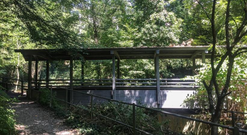 Au Pont du diable, on se retrouve tout à coup en pleine forêt. DR