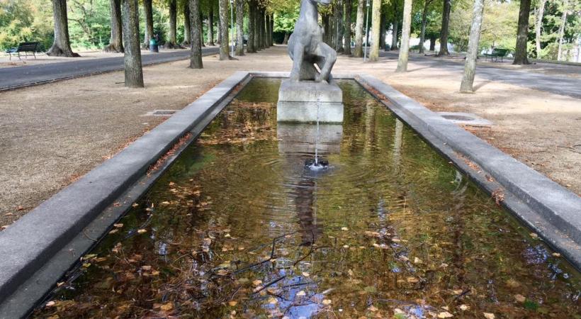 La fontaine Le Poulain jonchée de bois mort. PHK