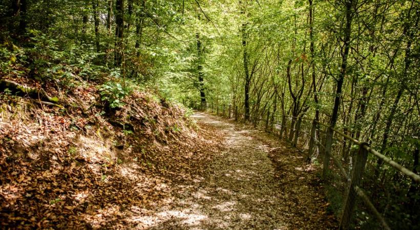 La Ville a accepté de remettre en état le chemin forestier déjà emprunté par les écoliers. MISSON