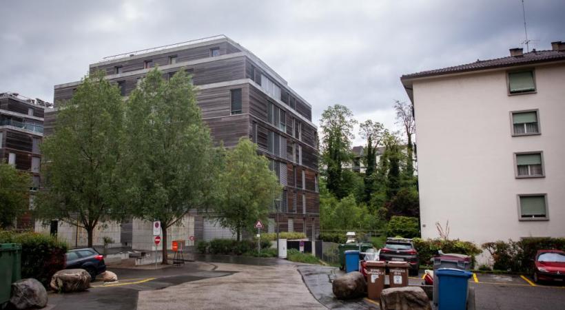 En arrière-plan, la forêt des Faverges qui longe le quartier. Les habitants veulent la protéger MISSON