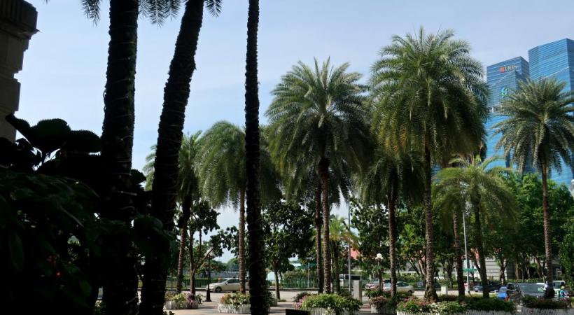 Chaque carrefour se donne des allures de jardin public.  