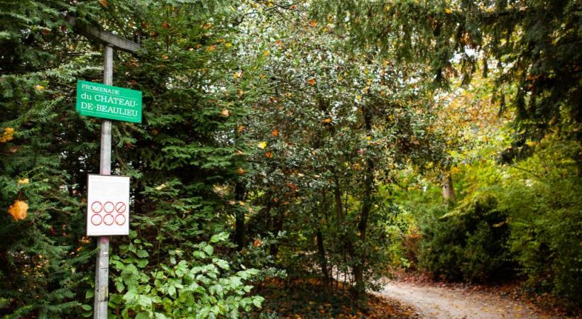 Sur la promenade du Château de Beaulieu, le manque d’éclairage public suscite un sentiment d’insécurité, surtout la nuit tombée. MISSON