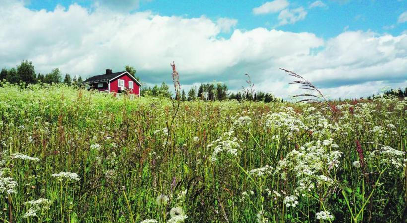 Le charme des maisons rouges, symbole national. BP