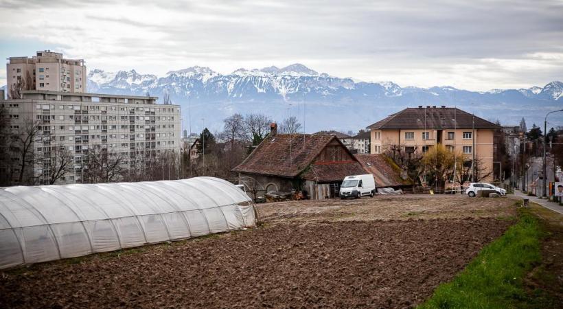 Après la disparition de la ferme Aebi, la Ville veut conserver des terres à vocation agricole à Victor Ruffy. DR