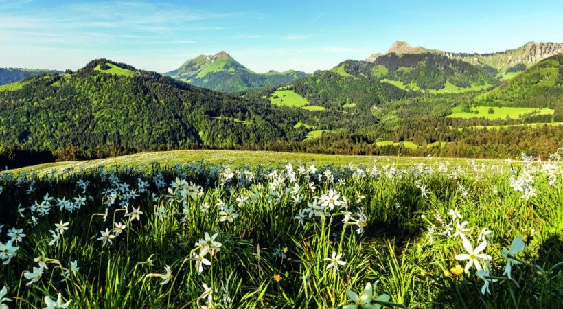 Une fois arrivés au sommet, laissez-vous surprendre par la magnifique vue panoramique qui s’étend de la Riviera au Jura. DR