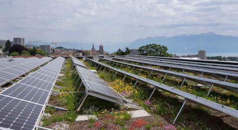 En les rafraîchissant, les plantes améliorent le fonctionne- ment des installations photovoltaïques. VILLE DE LAUSANNE