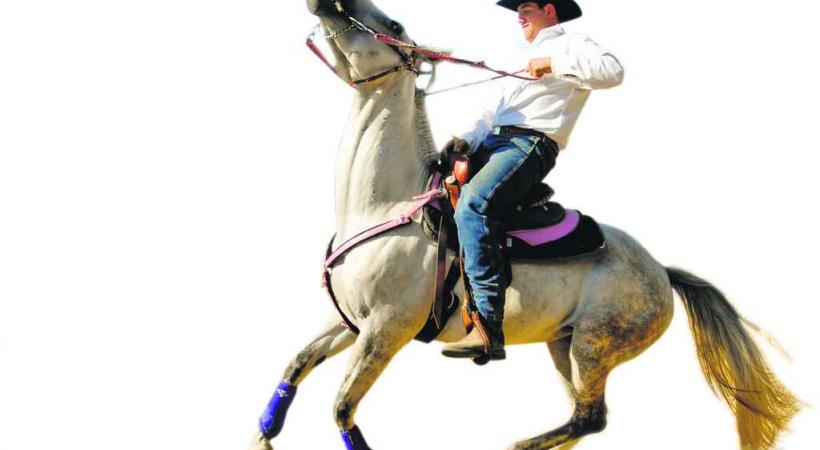 Team Penning Swiss Cup