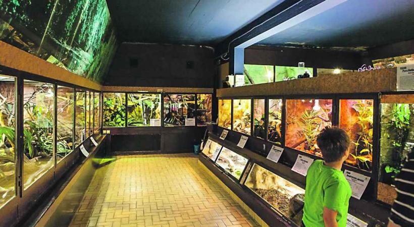 Les responsables du Vivarium se battront jusqu'au bout pour sauver cette véritable institution lausannoise. 