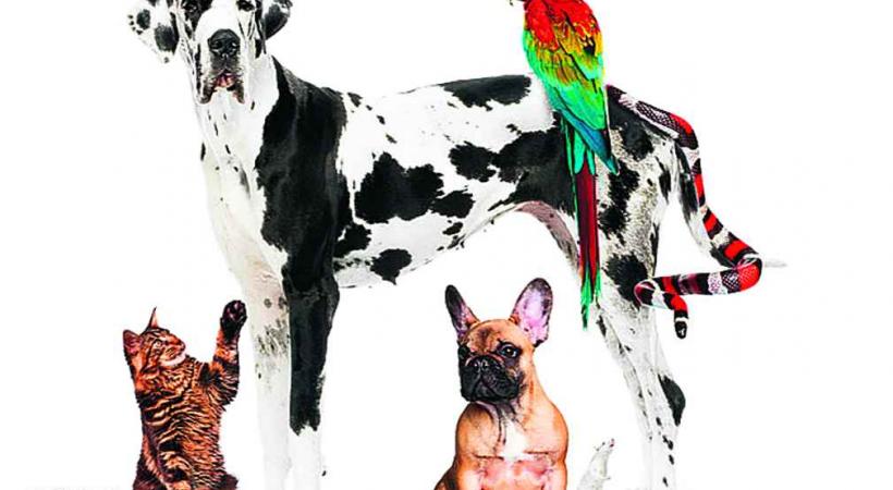 Les amis des animaux sont attendus en masse à Beaulieu Lausanne.