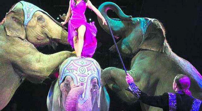 CIRQUE KNIE: Sous le coup de l'émotion