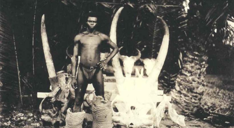 THÉÂTRE - Un après-midi au zoo