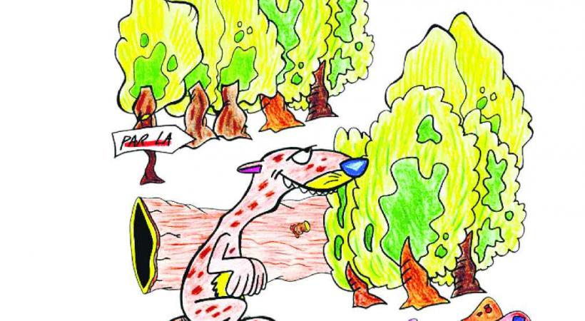 CONTE - Un samedi qui conte  - Les bois de Sauvabelin