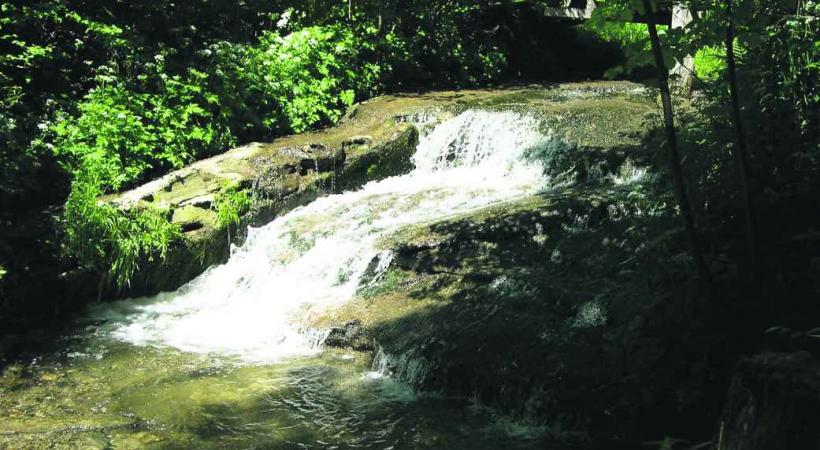 BALADE - Le Flon