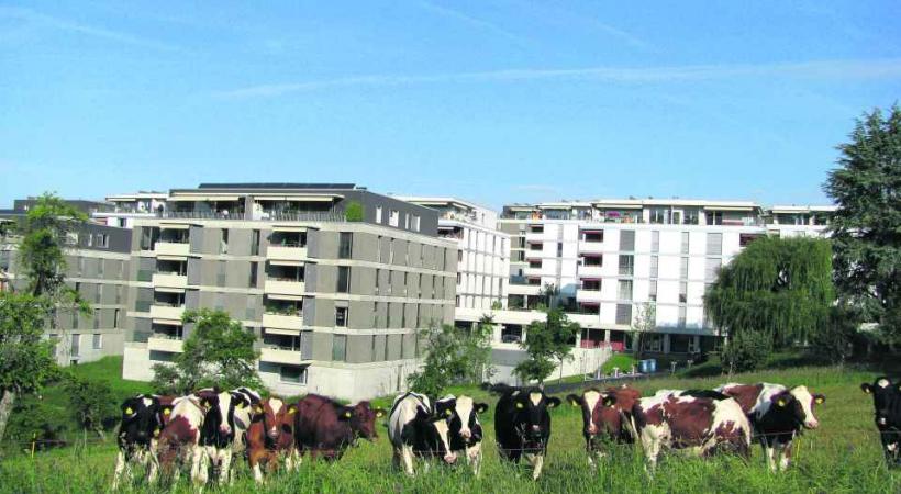 Le quartier de Maillefer va recevoir la Caravane des quartiers. 