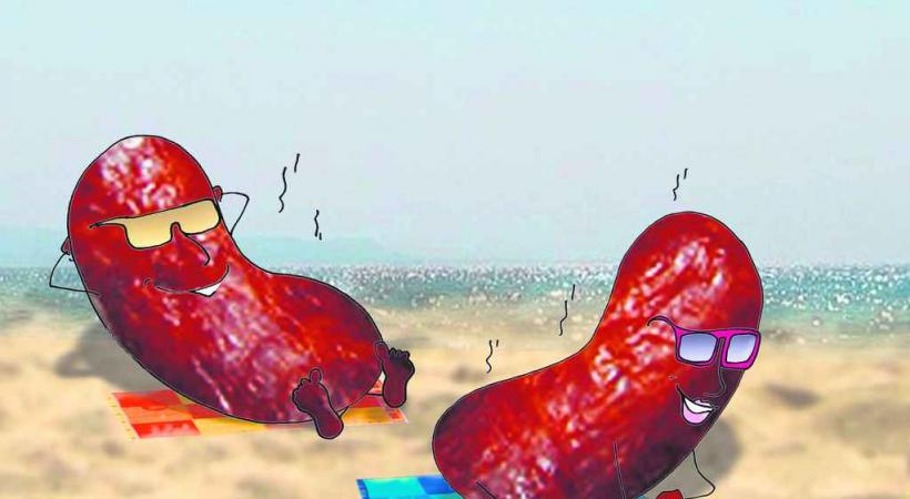 La vie palpitante d'une Merguez